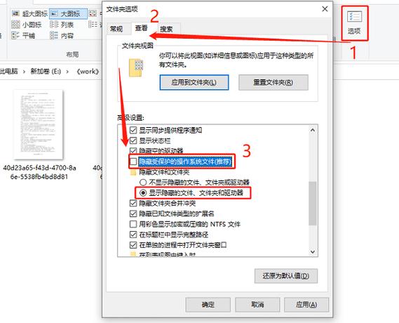 文件管理隐藏文件怎么看