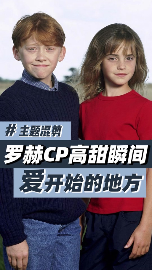 假如赫敏嫁给了马尔福