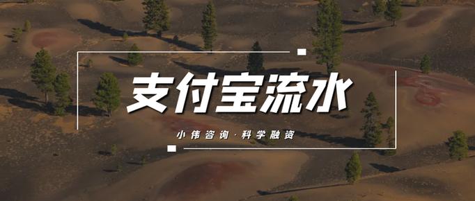 支付宝在哪拉流水