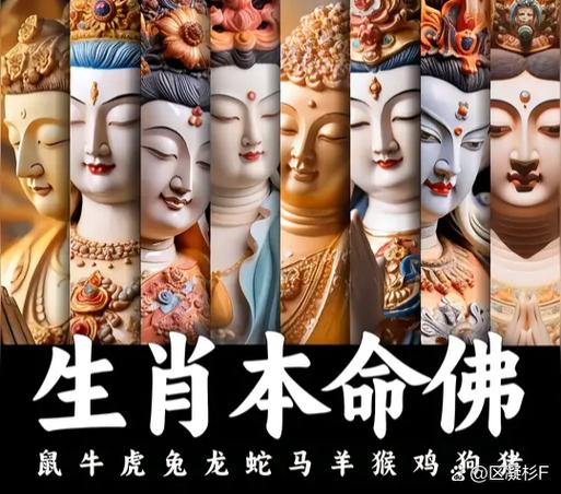 如来打一最准确生肖
