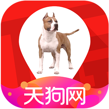 大商天狗网1积分抵多少钱