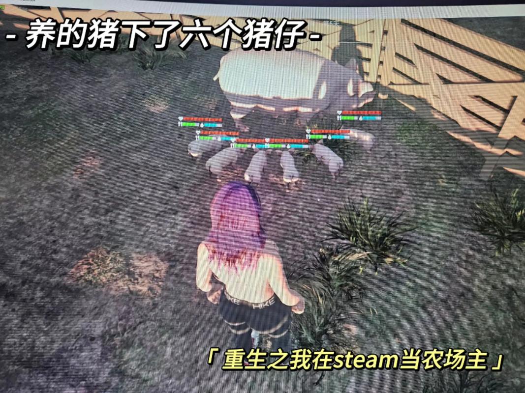 草猫用什么模拟器版本