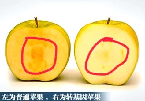 苹果公开版跟合约版有什么区别