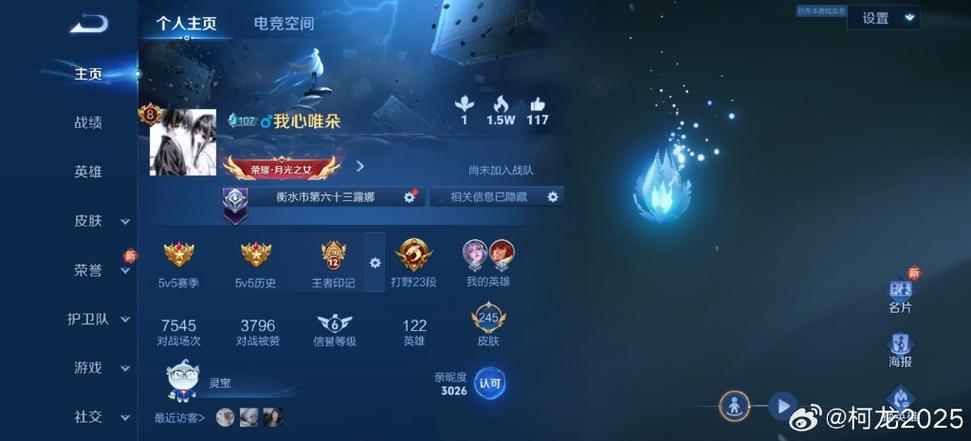 王者荣耀有id号码