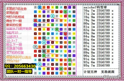 滚8码雪球200本金计划
