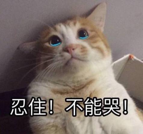 忍住图片表情包