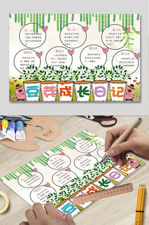豆芽发芽的过程观察记录表