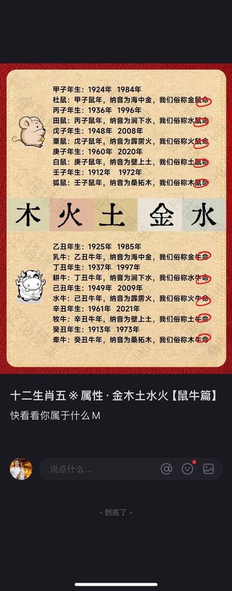 49号金木水火土数字