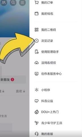 手机的浏览记录在哪里