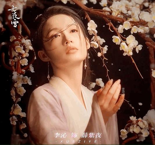 术曲《兔子洞》原版mv