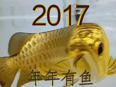 年年有余赚钱软件
