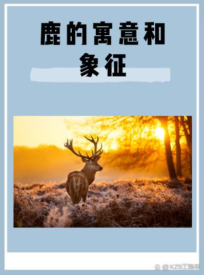 鹿的寓意和象征风水