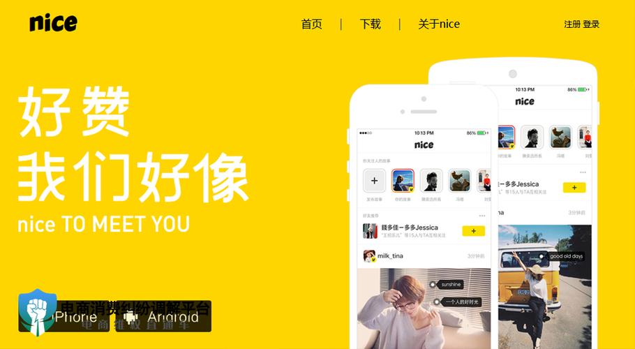 nice平台代卖怎么搞