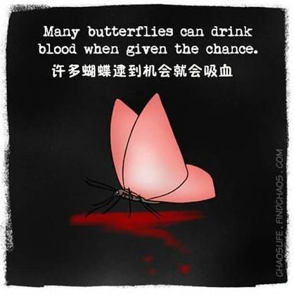 蝴蝶有血液吗为什么