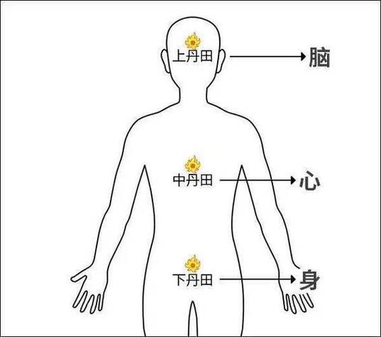 每个人都有丹田吗
