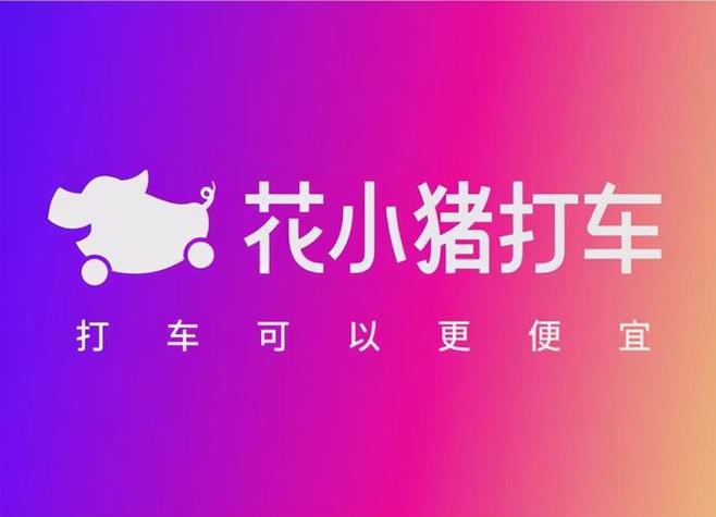 花小猪新手期过了还能有单吗
