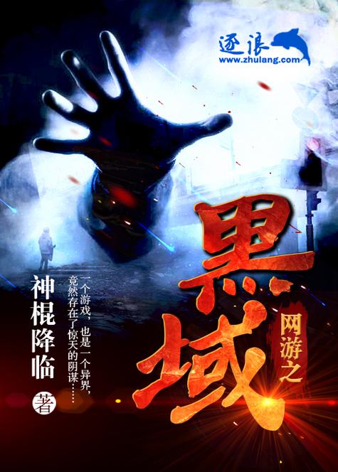 黑域破解版专业版