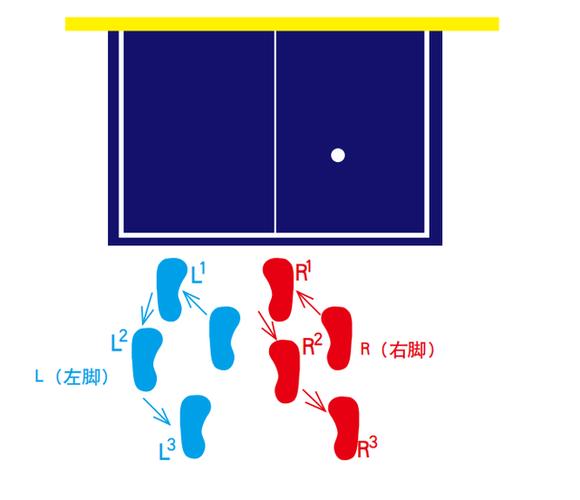 学乒乓球基本动作入门