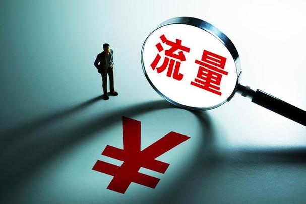 用流量看东西能不能查到