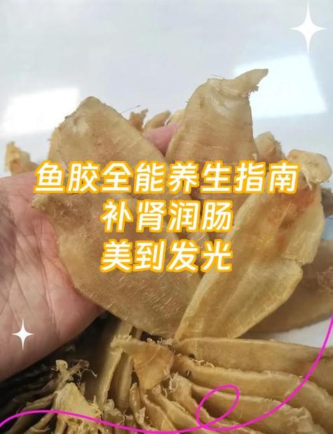 鱼胶可以多吃吗