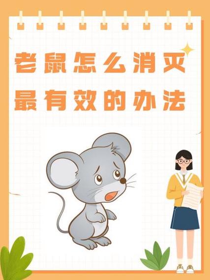 消灭老鼠的方法