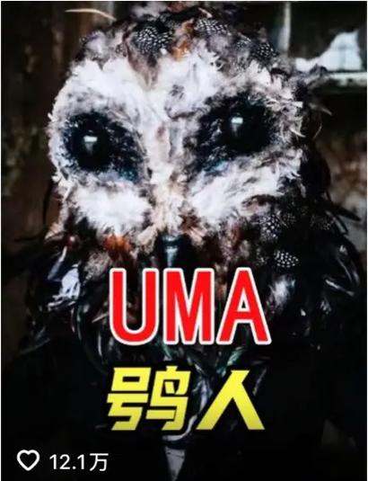 捕获未知生物下载