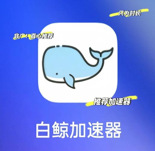 白鲸加速器安装白鲸加速器安卓版